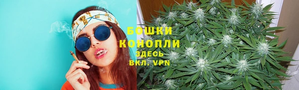 ECSTASY Липки