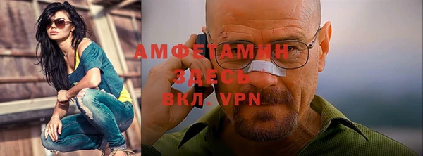 твердый Лагань
