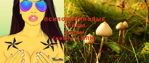 марки nbome Кукмор