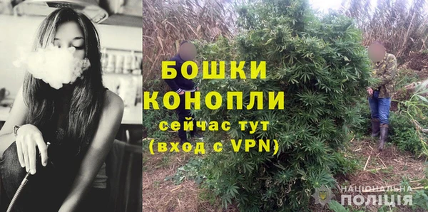 твердый Лагань